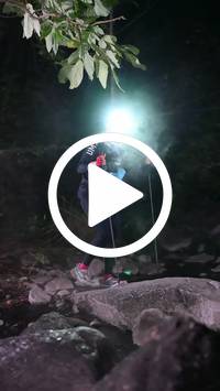 BIB:  <button type="button" onclick="openModal(28062816)" class="btn btn-primary btn-sm float-right" data-toggle="modal" data-target=".modal-high-quality">
                <i class="fa fa-download"></i> Download
                </button>